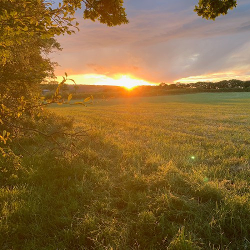 Sunset in Cilgerran, June 5, 2020