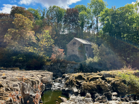 The old Teifi Mill, out of use for nearly 100 years!