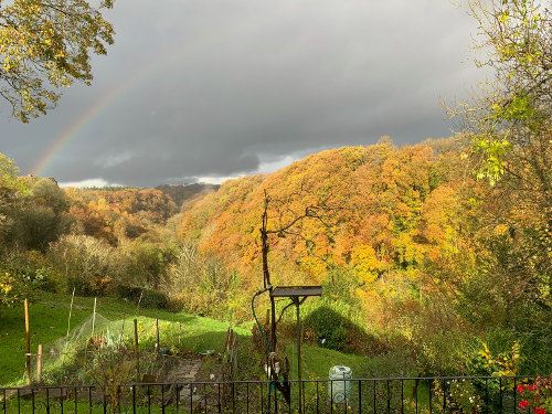 Autumn colors in the sunlight