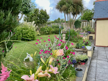 Spring showers bring May and June flowers!