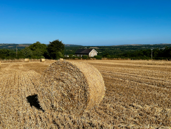 The 2026 straw harvest above Cilfowyr Chapel... When the roll is calledUp Yonder I'll be there!